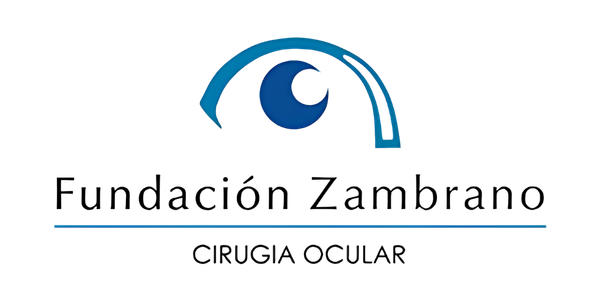 Home fundacion zambrano logo